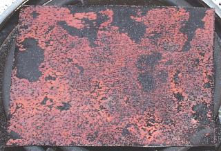 copper corrosion for solar panel