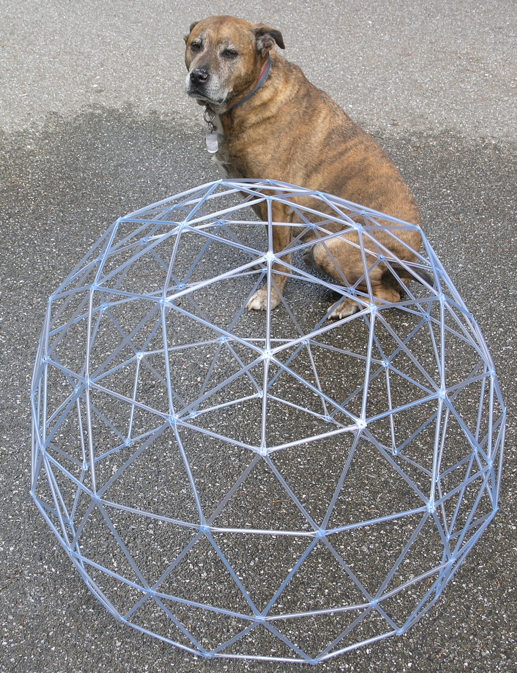 Chapter 9: Mathematics -- Build a homemade geodesic dome